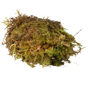   HabiStat | Sphagnum Moss | Terráriumi természetes moha párásításhoz és élőhely-kiegészítéshez hüllők és kétéltűek számára - 1 Kg