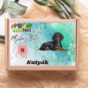 Mystery Box ajándékdoboz Kutyáknak– S