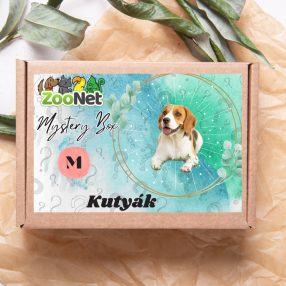 Mystery Box ajándékdoboz Kutyáknak– M