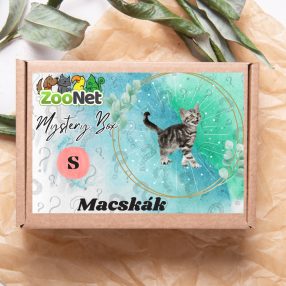 Mystery Box ajándékdoboz Macskáknak– S