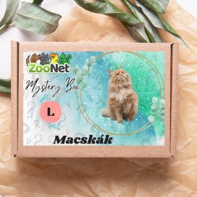 Mystery Box ajándékdoboz Macskáknak– L