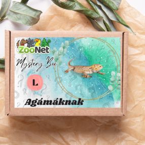 Mystery Box ajándékdoboz Szakállas agámáknak – L