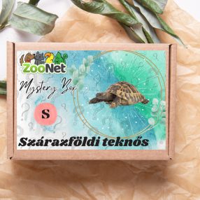 Mystery Box ajándékdoboz Szárazföldi teknősnek – S