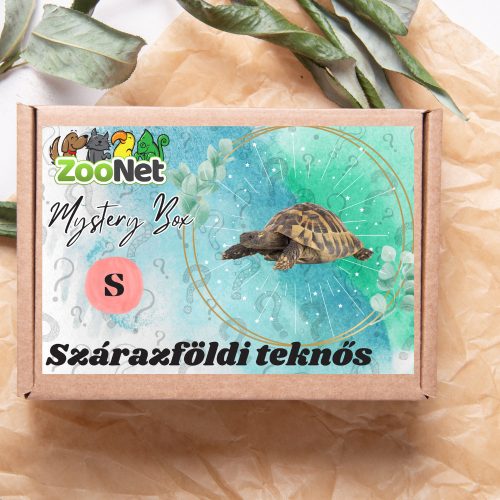 Mystery Box ajándékdoboz Szárazföldi teknősnek – S
