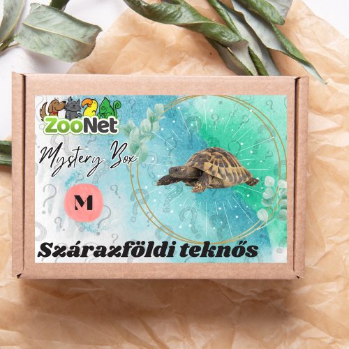 Mystery Box ajándékdoboz Szárazföldi teknősnek – M