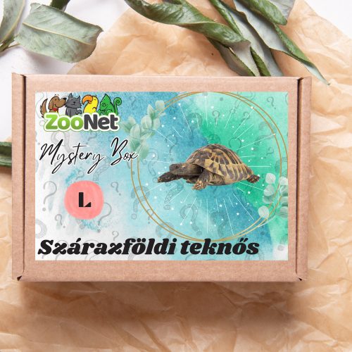 Mystery Box ajándékdoboz Szárazföldi teknősnek – L