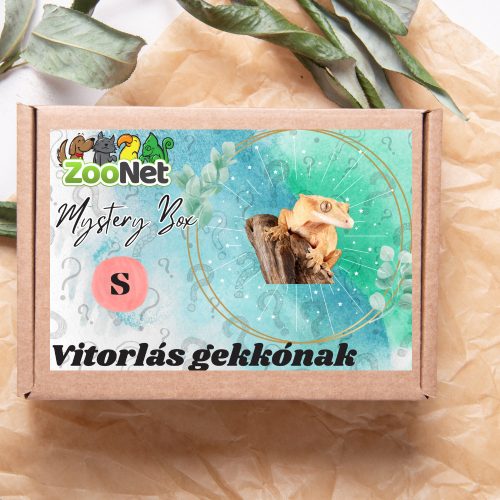 Mystery Box ajándékdoboz Vitorlás gekkóknak – S