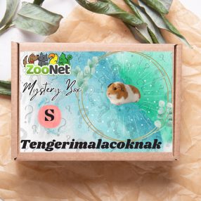 Mystery Box ajándékdoboz tengerimalacoknak– S