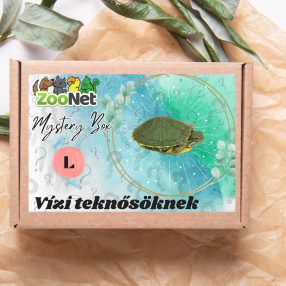 Mystery Box ajándékdoboz Vízi teknősöknek – L