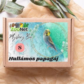 Mystery Box ajándékdoboz Hullámos papagájoknak – S