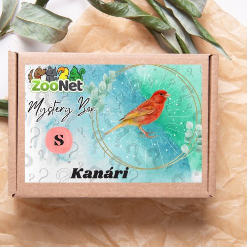 Mystery Box ajándékdoboz Kanárinak – S