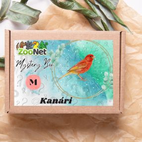 Mystery Box ajándékdoboz Kanárinak – M