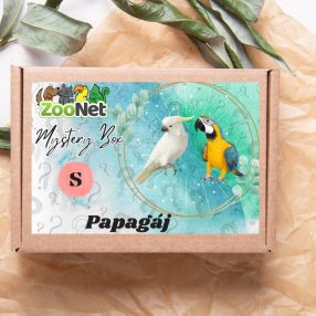   Mystery Box ajándékdoboz Közepes és óriás papagájoknak – S
