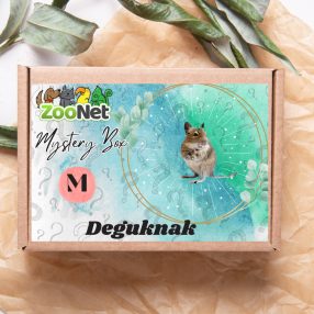 Mystery Box ajándékdoboz Deguknak– M