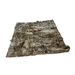   Természetes nyírfa kéreg dekorációs lap | Terráriumi háttérépítő elem – 10x10 cm - 1 db