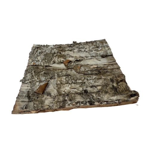 Természetes nyírfa kéreg dekorációs lap | Terráriumi háttérépítő elem – 10x10 cm - 1 db