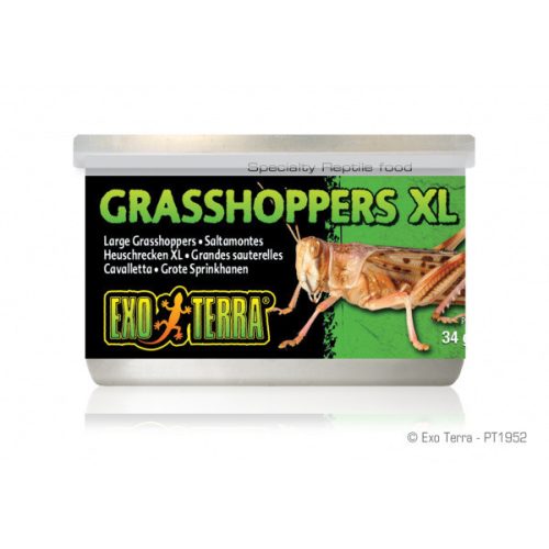 Exo Terra Canned Grasshoppers | Sáska konzerv XL - 34 g