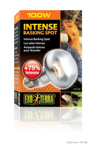 Exo Terra Intense Basking Spot Lamp | Melegítő izzó - 100 W