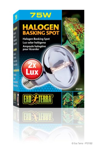 Exo Terra Halogen Basking Spot | Halogén melegítő izzó - 75 W