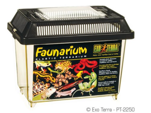 Exo Terra Faunarium | XS