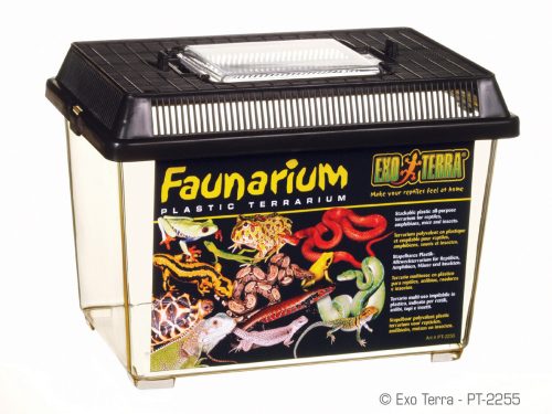 Exo Terra Faunarium | S