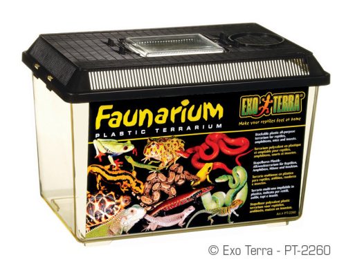 Exo Terra Faunarium | M