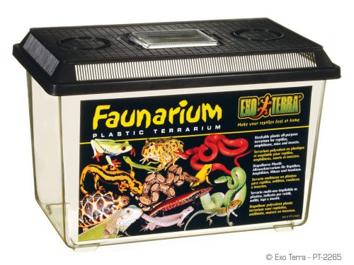 Exo Terra Faunarium | L