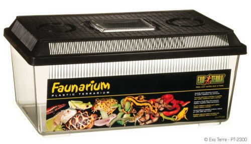 Exo Terra Faunarium | XL