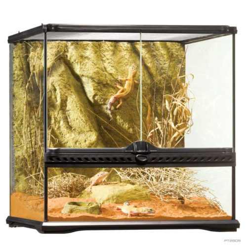 Exo Terra Natural Small Wide | Terrárium - 45 x 45 x 45 cm