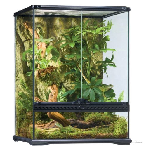 Exo Terra Natural Small Tall | Terrárium - 45 x 45 x 60 cm