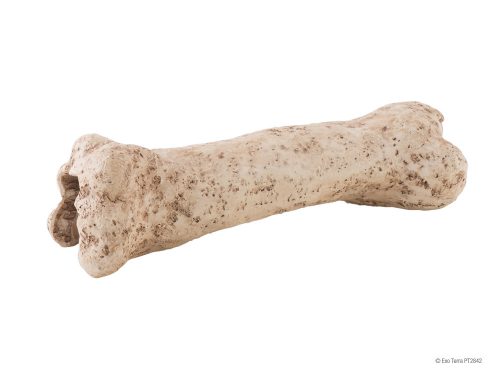 Exo terra Dinosaur Bone | Dinoszaurusz csont dekoráció 