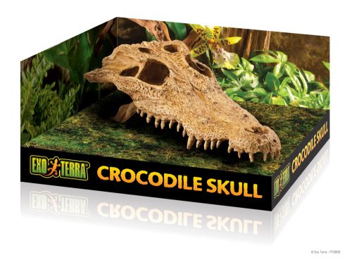 Exo Terra Crocodile Skull | Krokodil koponya