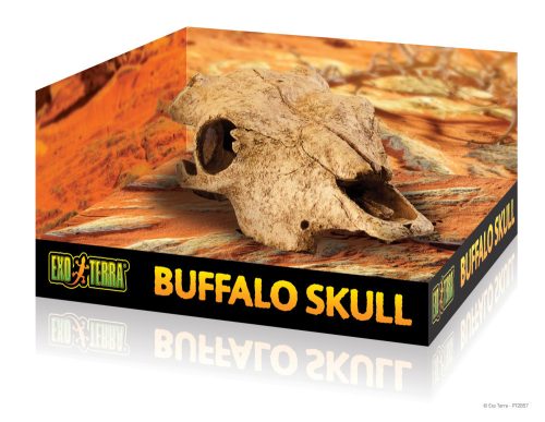 Exo terra Buffalo Skull | Bölény koponya - nagy