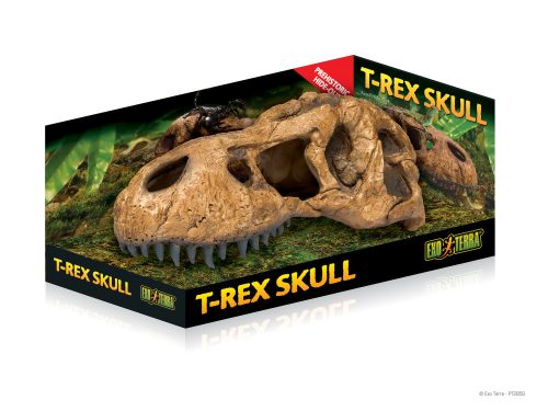 Exo terra T-Rex Skull | T-rex koponya - L-es